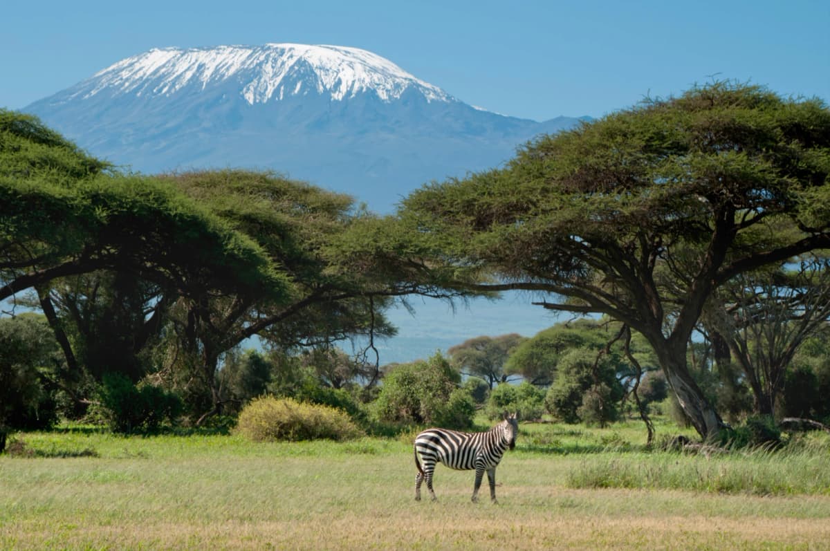 Immunisations for Kenya