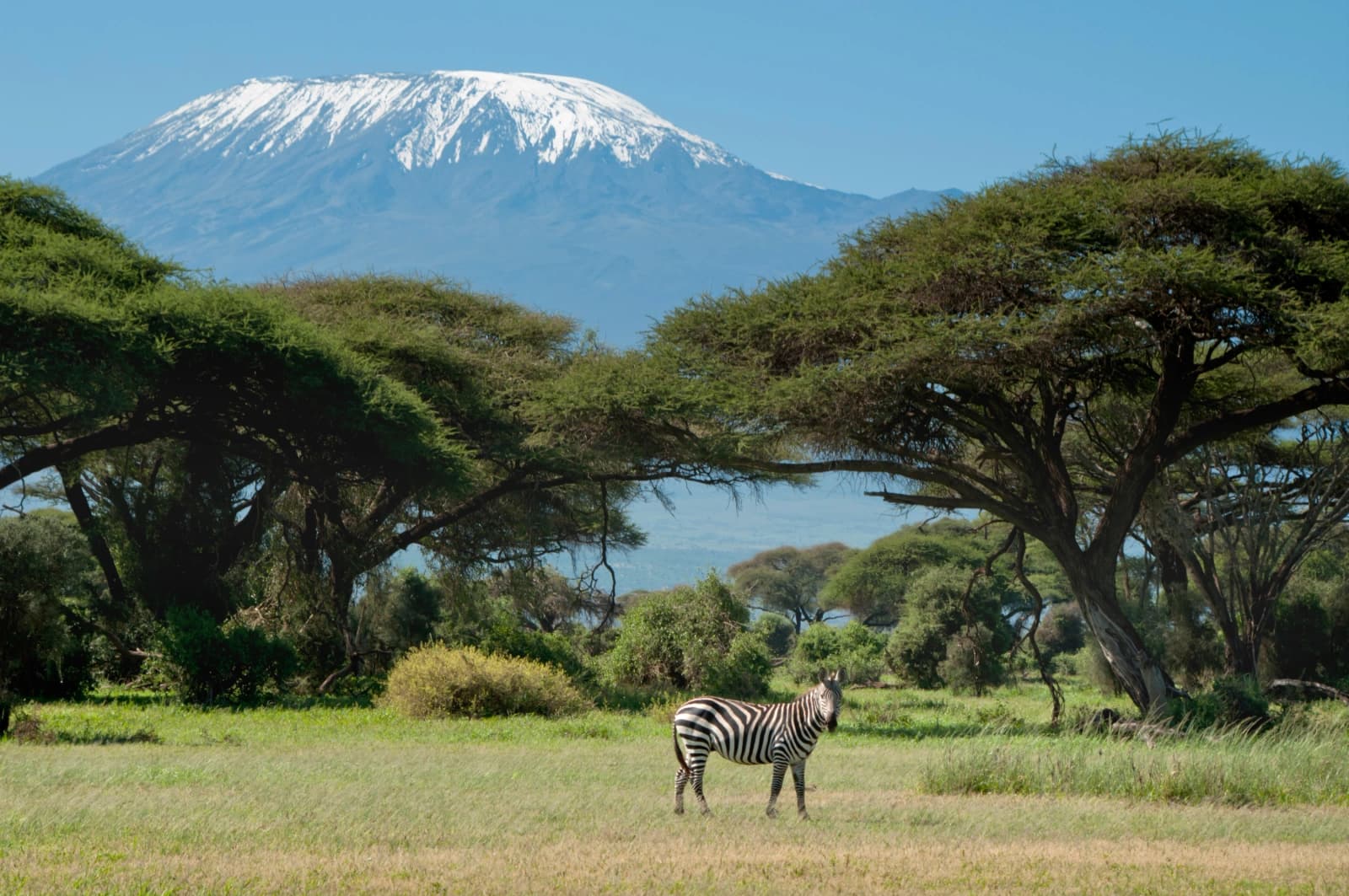 Immunisations for Kenya