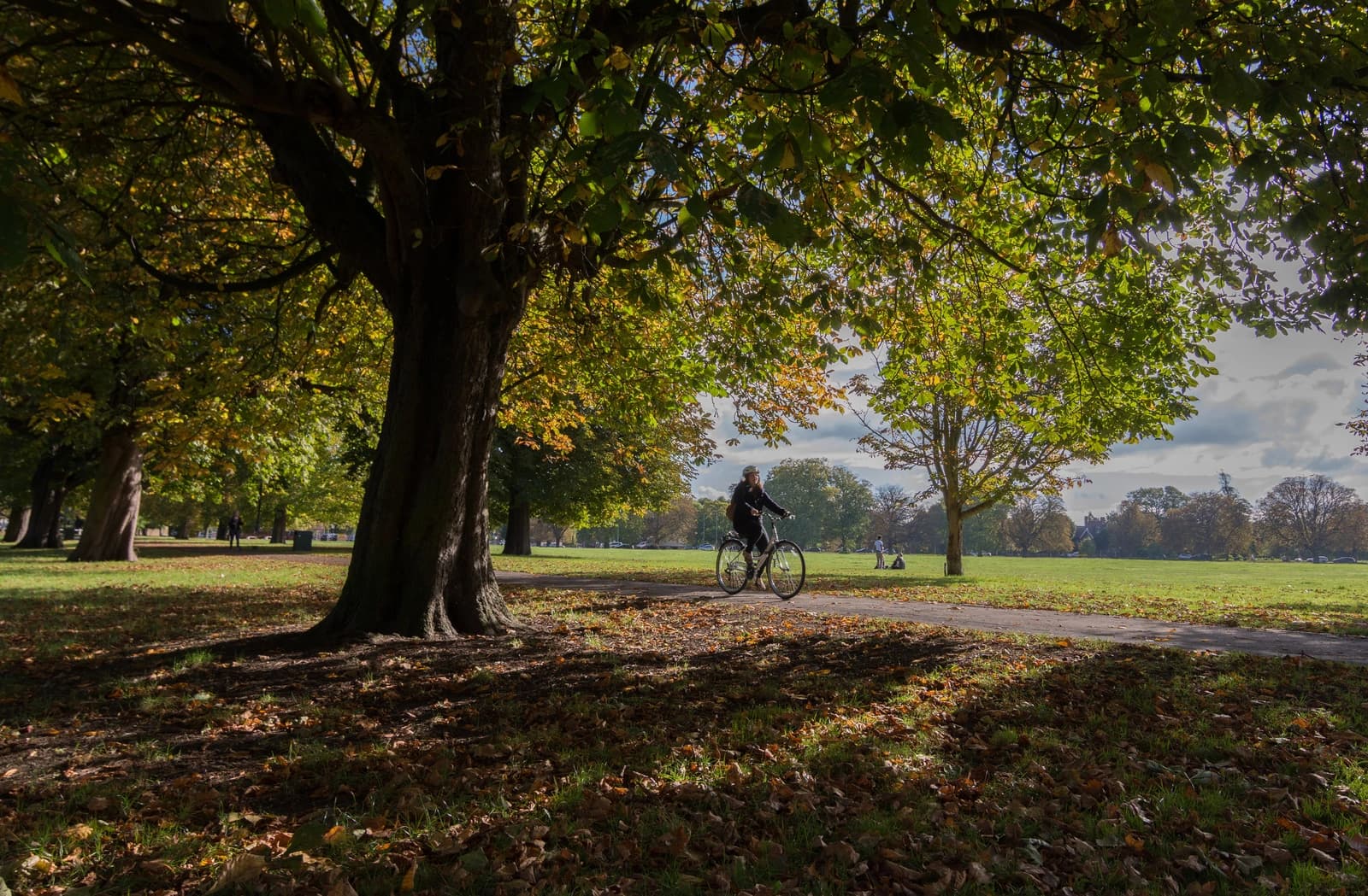 Travel Vaccines in Ealing: Frequently Asked Questions